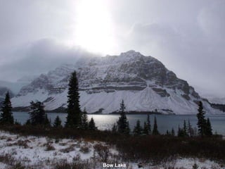 Bow Lake   