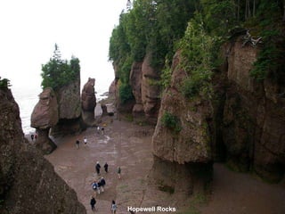 Hopewell Rocks   