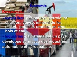 Économie Ressources:  -naturelles:  gaz naturel, pétrole, or, charbon, cuivre, minerai de fer,  nickel,  potasse, uranium et  zinc,  bois et eau - Industries :  le Canada est un pays développé au niveau des industries automobile et aérospatiale.        