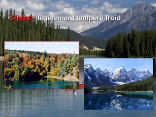Climat:  légèrement tempéré froid 
