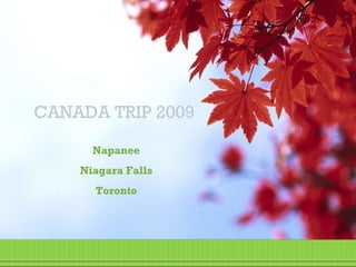 CANADA TRIP 2009 Napanee Niagara Falls Toronto 