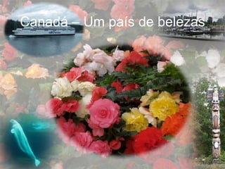 Canadá – Um país de belezas 