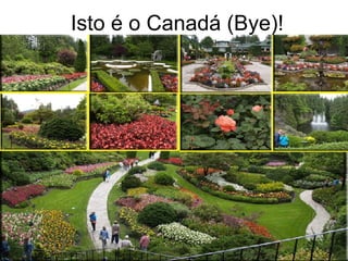 Isto é o Canadá (Bye)! 