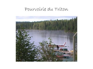 Pourvoirie du Triton
 