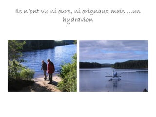 Ils n’ont vu ni ours, ni orignaux mais …un
hydravion
 