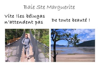 Baie Ste Marguerite
Vite !les bélugas
n’attendent pas De toute beauté !
 