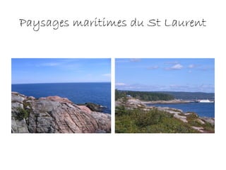 Paysages maritimes du St Laurent
 