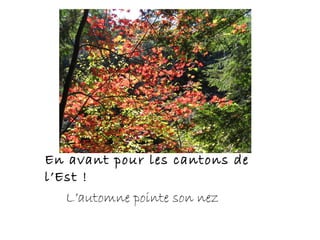 En avant pour les cantons de
l’Est !
L’automne pointe son nez
 