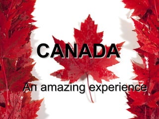 CANADACANADA
An amazing experienceAn amazing experience
 