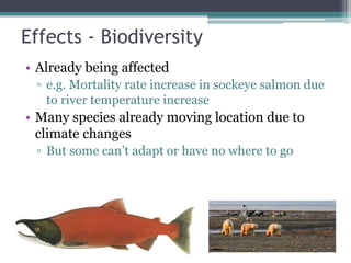 Effects - Biodiversity
• Already being affected
▫ e.g. Mortality rate increase in sockeye salmon due
to river temperature increase
• Many species already moving location due to
climate changes
▫ But some can’t adapt or have no where to go
 