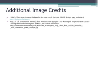 Additional Image Credits
• USFWS, Three polar bears on the Beaufort Sea coast, Arctic National Wildlife Refuge, 2005 available at
http://digitalmedia.fws.gov/
• Page 5 of U.S. Government Printing Office Pamphlet 1996-792-501: Lake Washington Ship Canal Fish Ladder -
Drawing of male freshwater phase Sockeye (red) salmon available at
http://commons.wikimedia.org/wiki/File:Lake_Washington_Ship_Canal_Fish_Ladder_pamphlet_-
_male_freshwater_phase_Sockeye.jpg
 