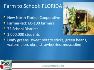 Farm to School: FLORIDA New North Florida Cooperative Farmer-led: 60-100 farmers 72 School Districts 1,000,000 students Leafy greens, sweet potato sticks, green beans, watermelon, okra, strawberries, muscadine  