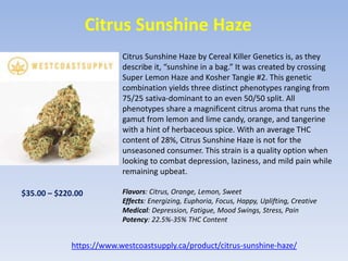Canada mail order marijuana