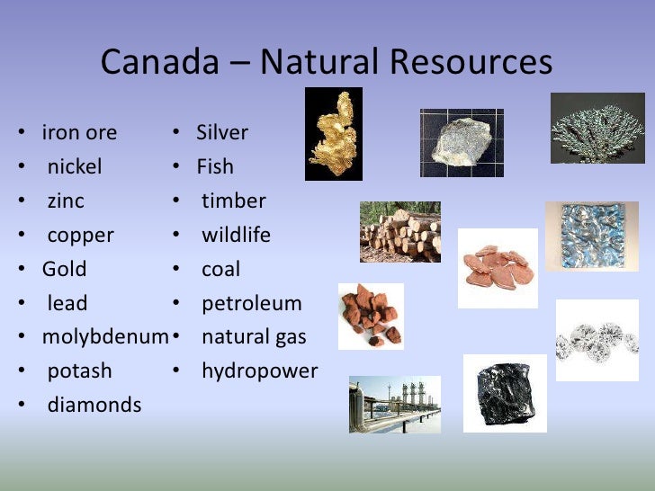 Natural Resources In The Canadian Tundra Natural Resources In The Canadian Tundra