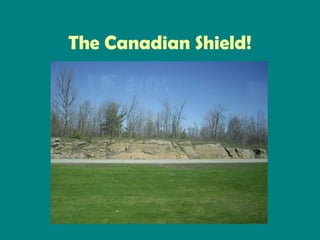 The Canadian Shield!

 