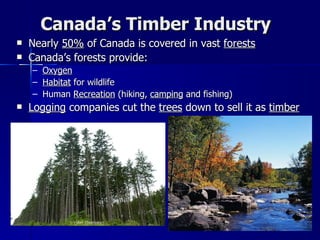 Canada’s Timber Industry Nearly  50%  of Canada is covered in vast  forests Canada’s forests provide: Oxygen Habitat  for wildlife Human  Recreation  (hiking,  camping  and fishing) Logging  companies cut the  trees  down to sell it as  timber 