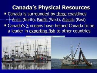 Canada’s Physical Resources Canada is surrounded by  three  coastlines Arctic  (North),  Pacific  (West),  Atlantic  (East) Canada’s  3  oceans have helped Canada to be a leader in  exporting fish  to other countries 