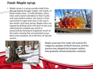 Food: Maple syrup
• Maple syrup is a syrup usually made from
the sap (savia) of sugar maple, red maple, or
black maple trees. In cold climates, these
trees store starch (almidón) in their trunks
and roots before winter; the starch is then
converted to sugar that rises in the sap in
late winter and early spring. Maple trees are
tapped by drilling holes into their trunks and
collecting the exuded sap, which is
processed by heating to evaporate much of
the water, leaving the concentrated syrup.
Most trees produce 20 to 60 litres of sap per
season.
20
Maple syrup was first made and used by the
indigenous peoples of North America, and the
practice was adopted by European settlers,
who gradually refined production methods.
 
