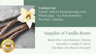 Canada poland spain russia vanilla bean supplier