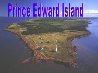 Prince Edward Island