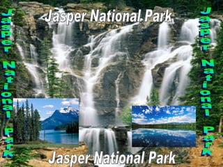 Jasper National Park Jasper National Park Jasper National Park Jasper National Park 