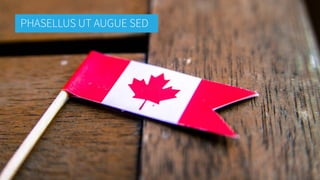 PHASELLUS UT AUGUE SED
 