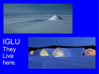 6 millions cubic of water falls in a minute. </li></ul>