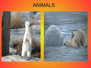 It was considered city in 1855 and it's very clean 