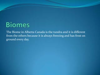 BiomesThe Biome in Alberta Canada is the tundra and it is different from the others because it is always freezing and has frost on ground every day.