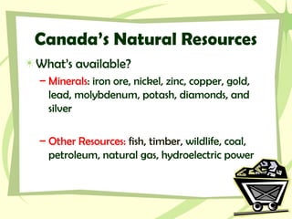 Canada’s Natural Resources
What’s available?
– Minerals: iron ore, nickel, zinc, copper, gold,
lead, molybdenum, potash, diamonds, and
silver
– Other Resources: fish, timber, wildlife, coal,
petroleum, natural gas, hydroelectric power
 