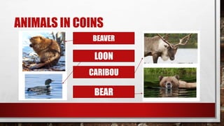 ANIMALS IN COINS
BEAVER
LOON
CARIBOU
BEAR