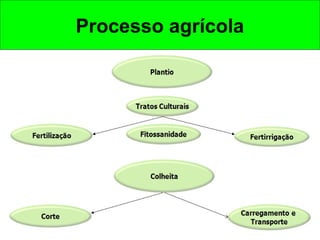 Processo agrícola
 