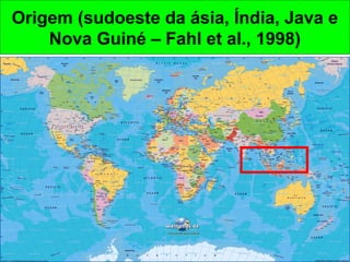 Origem (sudoeste da ásia, Índia, Java e
Nova Guiné – Fahl et al., 1998)
 