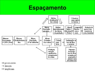 Espaçamento
 