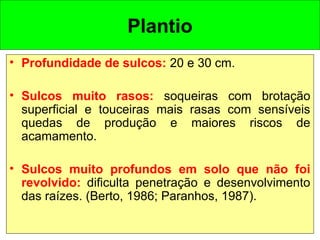 Plantio
• Profundidade de sulcos: 20 e 30 cm.
• Sulcos muito rasos: soqueiras com brotação
superficial e touceiras mais rasas com sensíveis
quedas de produção e maiores riscos de
acamamento.
• Sulcos muito profundos em solo que não foi
revolvido: dificulta penetração e desenvolvimento
das raízes. (Berto, 1986; Paranhos, 1987).
 