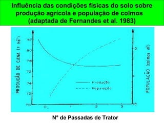 Influência das condições físicas do solo sobre
produção agrícola e população de colmos
(adaptada de Fernandes et al. 1983)
N° de Passadas de Trator
 
