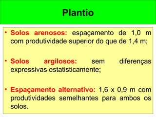 Plantio
• Solos arenosos: espaçamento de 1,0 m
com produtividade superior do que de 1,4 m;
• Solos argilosos: sem diferenças
expressivas estatisticamente;
• Espaçamento alternativo: 1,6 x 0,9 m com
produtividades semelhantes para ambos os
solos.
 