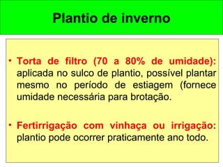 Plantio de inverno
• Torta de filtro (70 a 80% de umidade):
aplicada no sulco de plantio, possível plantar
mesmo no período de estiagem (fornece
umidade necessária para brotação.
• Fertirrigação com vinhaça ou irrigação:
plantio pode ocorrer praticamente ano todo. 
 
