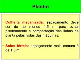 Plantio
• Colheita mecanizada: espaçamento deve
ser de ao menos 1,5 m para evitar
pisoteamento e compactação das linhas da
planta pelas rodas das máquinas.
• Solos férteis: espaçamento mais comum é
de 1,5 m;
 