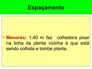 Espaçamento
• Menores: 1,40 m faz colhedora pisar
na linha da planta vizinha à que está
sendo colhida e tombe planta.
 