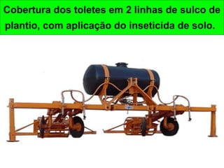 Cobertura dos toletes em 2 linhas de sulco de
plantio, com aplicação do inseticida de solo.
 