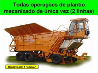 Todas operações de plantio
mecanizado de única vez (2 linhas)
Rendimento: 1 ha hora-1
 