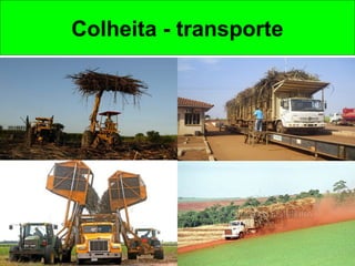 Colheita - transporte
 