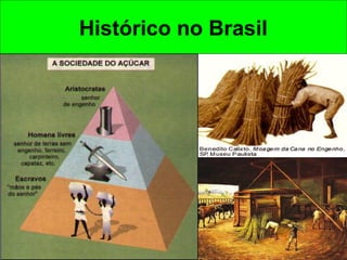 Histórico no Brasil
 