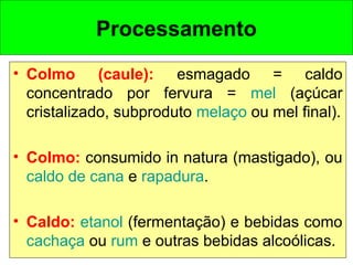 Processamento
• Colmo (caule): esmagado = caldo
concentrado por fervura = mel (açúcar
cristalizado, subproduto melaço ou mel final).
• Colmo: consumido in natura (mastigado), ou
caldo de cana e rapadura.
• Caldo: etanol (fermentação) e bebidas como
cachaça ou rum e outras bebidas alcoólicas.
 