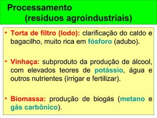 Processamento
(resíduos agroindustriais)
• Torta de filtro (lodo): clarificação do caldo e
bagacilho, muito rica em fósforo (adubo).
• Vinhaça: subproduto da produção de álcool,
com elevados teores de potássio, água e
outros nutrientes (irrigar e fertilizar).
• Biomassa: produção de biogás (metano e
gás carbônico).
 