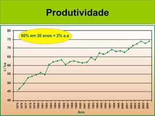 Produtividade
 