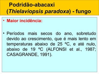 Podridão-abacaxi
(Thielaviopsis paradoxa) - fungo
• Maior incidência:
• Períodos mais secos do ano, sobretudo
devido ao crescimento, que é mais lento em
temperaturas abaixo de 25 ºC, e até nulo,
abaixo de 19 ºC (ALFONSI et al., 1987;
CASAGRANDE, 1991).
 
