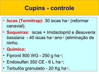 Cupins - controle
• Iscas (Termitrap): 30 iscas ha-1 (reformar
canavial).
• Soqueiras:  iscas + Imidacloprid e Beauveria
bassiana - 40 iscas ha-1 ano-1 (eliminação de
ninho.
• Químico:
• Fipronil 800 WG - 250 g ha-1;
• Endosulfan 350 CE - 6 L ha-1;
• Terbufós granulado - 20 Kg ha-1.
 