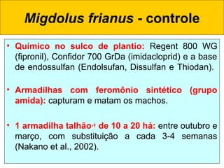 • Químico no sulco de plantio: Regent 800 WG
(fipronil), Confidor 700 GrDa (imidacloprid) e a base
de endossulfan (Endolsufan, Dissulfan e Thiodan).
• Armadilhas com feromônio sintético (grupo
amida): capturam e matam os machos.
• 1 armadilha talhão-1 de 10 a 20 há: entre outubro e
março, com substituição a cada 3-4 semanas
(Nakano et al., 2002).
Migdolus frianus - controle
 